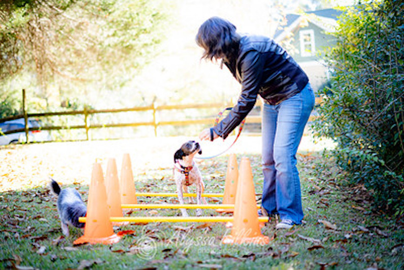 Photo by: Alyssa Filkins (www.alyssafilkins.com)