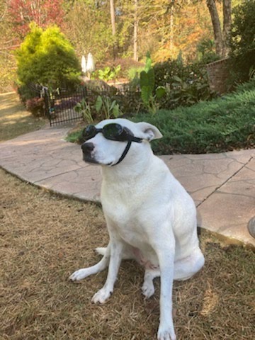 This image has an empty alt attribute; its file name is jpeg-image-6b0949544607-1.jpeg